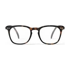READING GLASSES