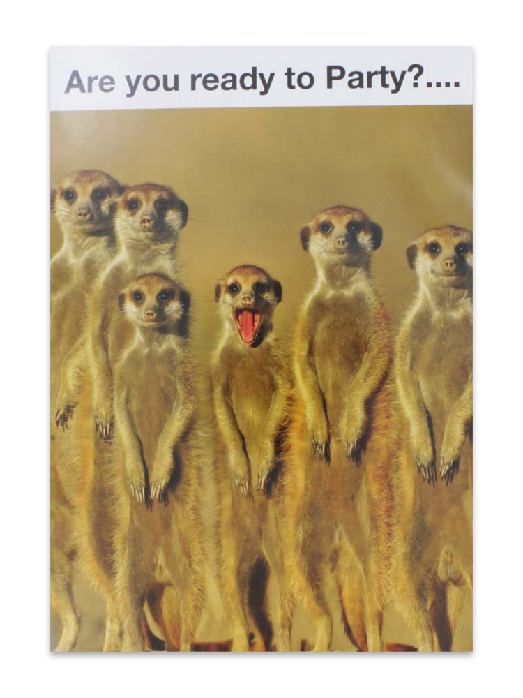 CARDS HUMOUR (NO.4)