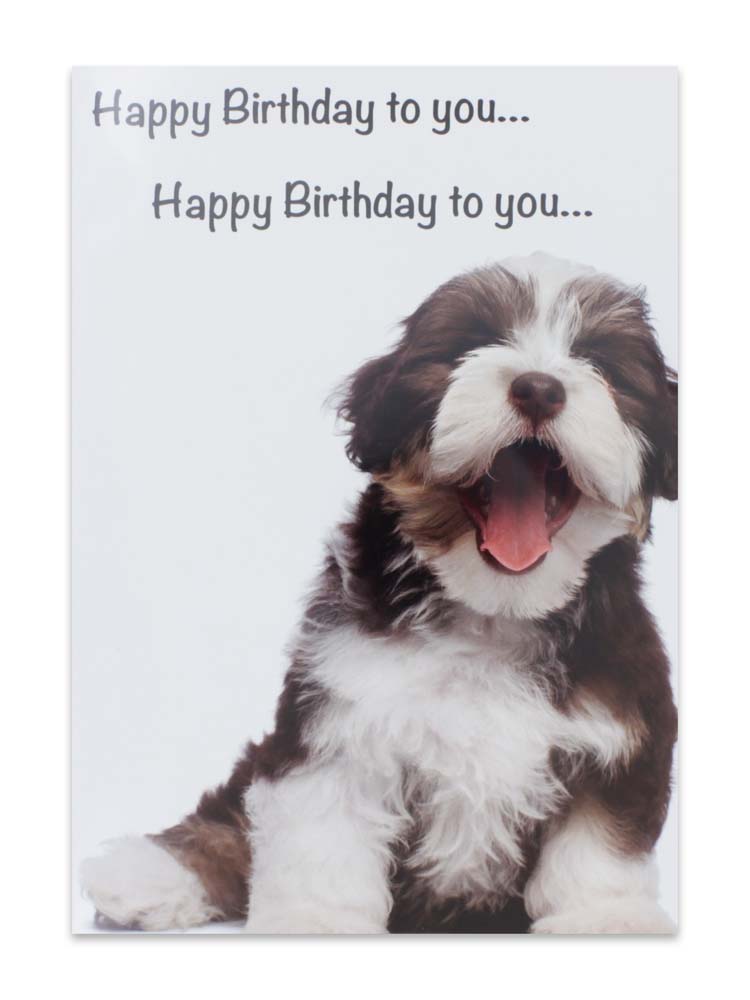 CARDS HUMOUR (NO.5)