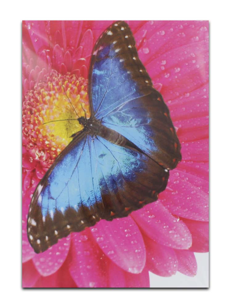 CARDS BLANK (NO.57)