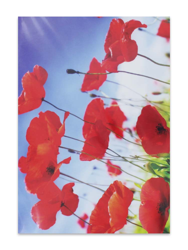 CARDS BLANK (NO.58)