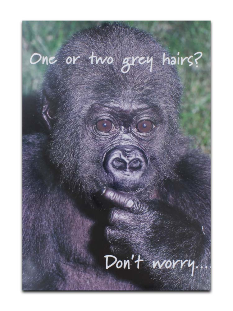 CARDS HUMOUR (NO.6)