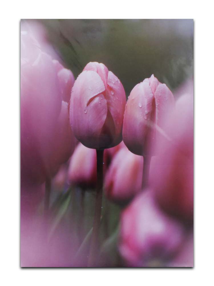 CARDS BLANK (NO.62)