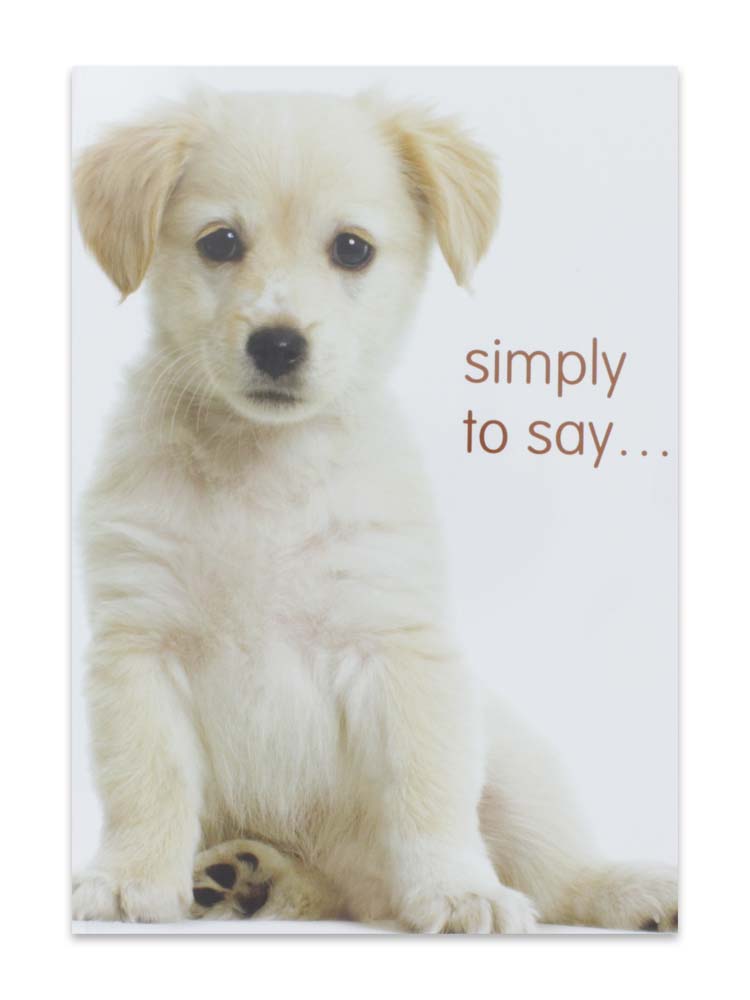 CARDS SIMPLY TO SAY (NO.63)