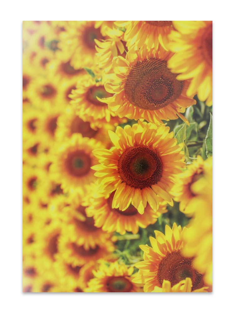 CARDS THINKING OF YOU (NO.64)