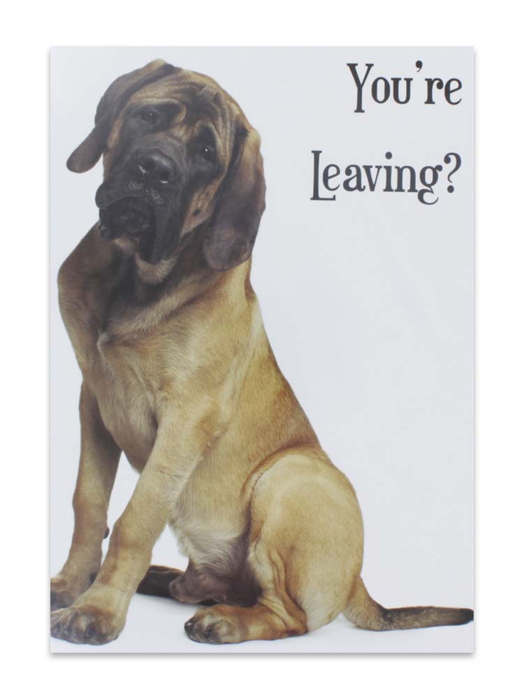 CARDS SORRY/LEAVING (NO.72)