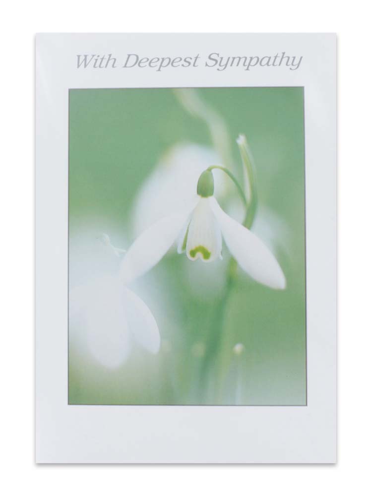 CARDS SYMPATHY (NO.80)