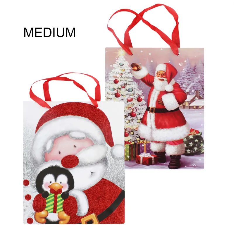 XMAS GIFT BAG MEDIUM