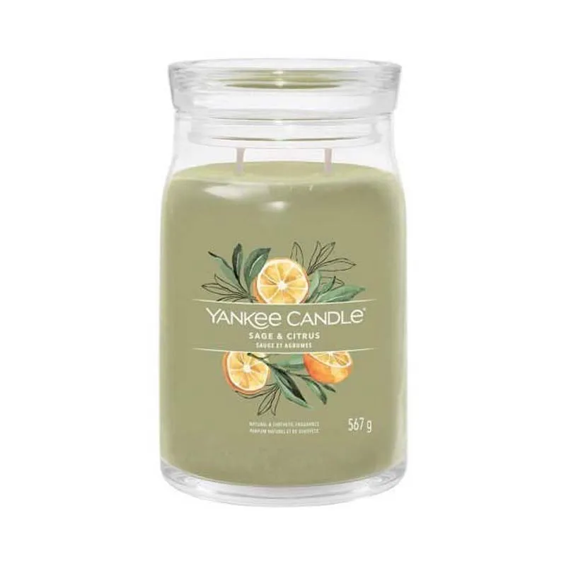 YANKEE SIGNATURE SAGE & CITRUS 567g CANDLE x4