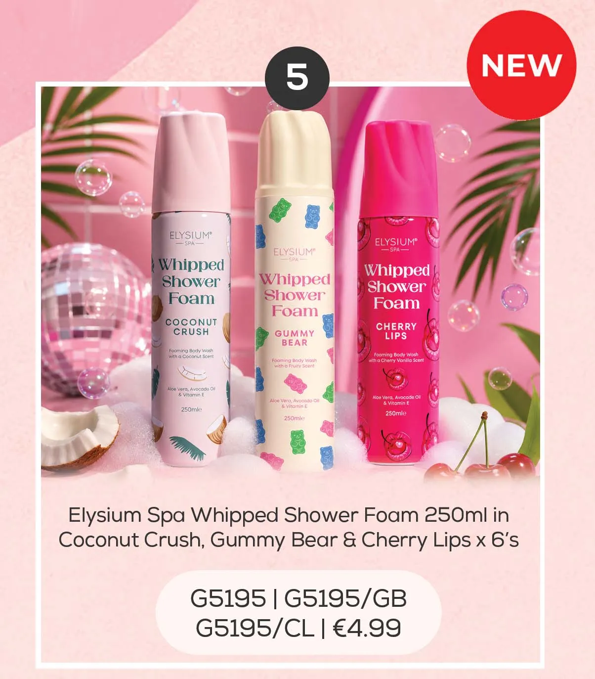 JUNE 2026 OFFER 5